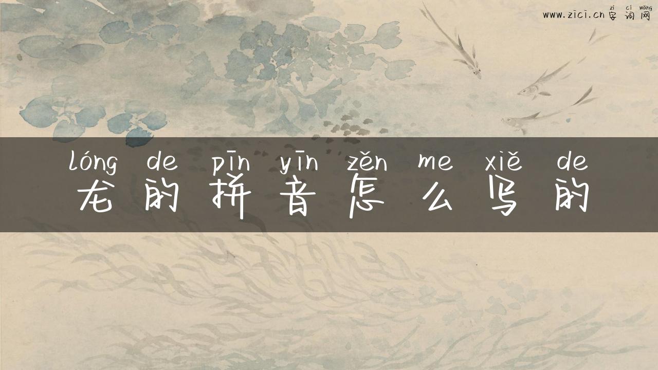龙的拼音怎么写的
