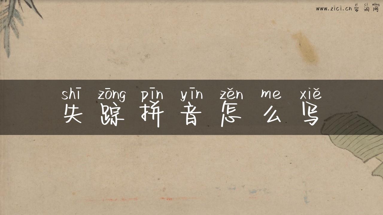 失踪拼音怎么写