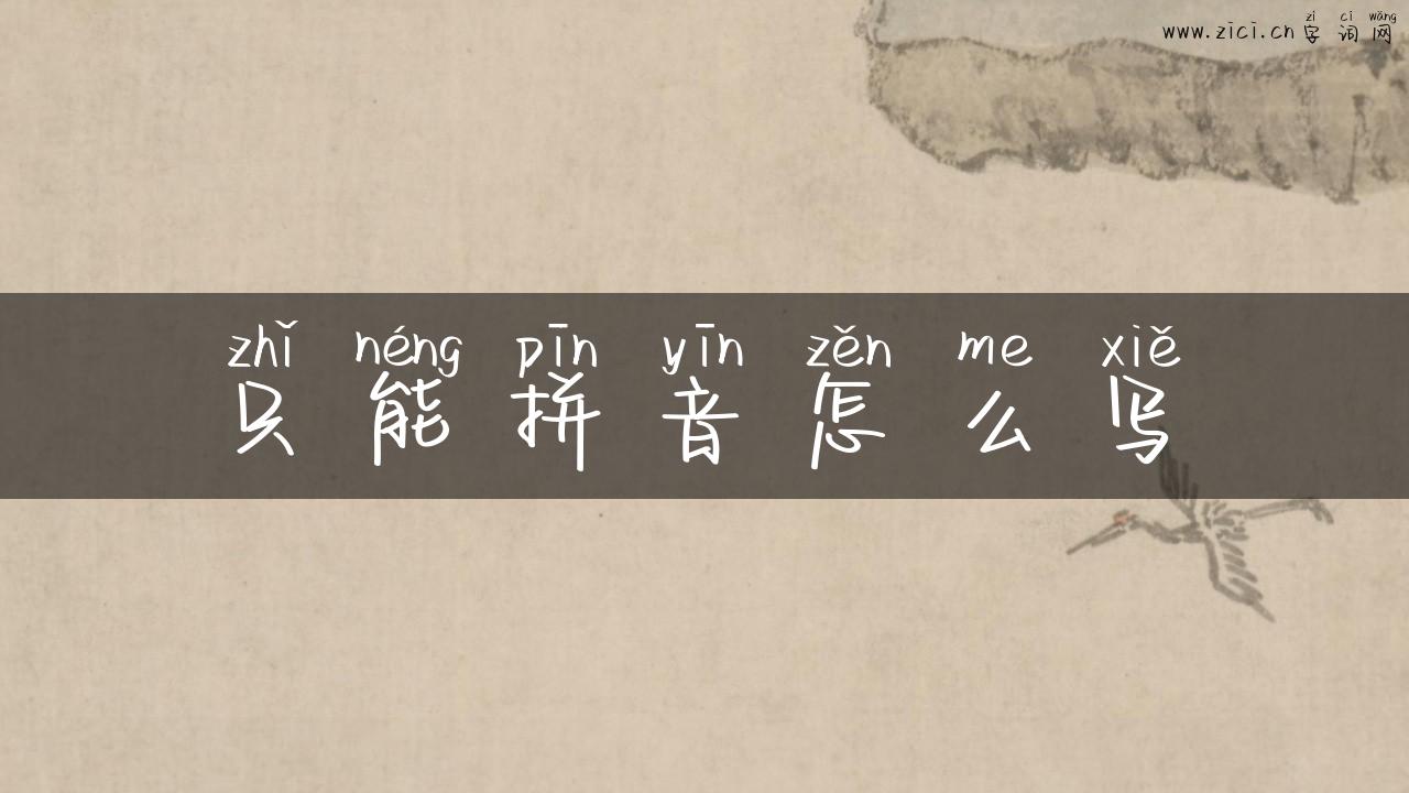 只能拼音怎么写