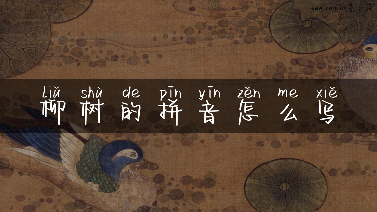 柳树的拼音怎么写