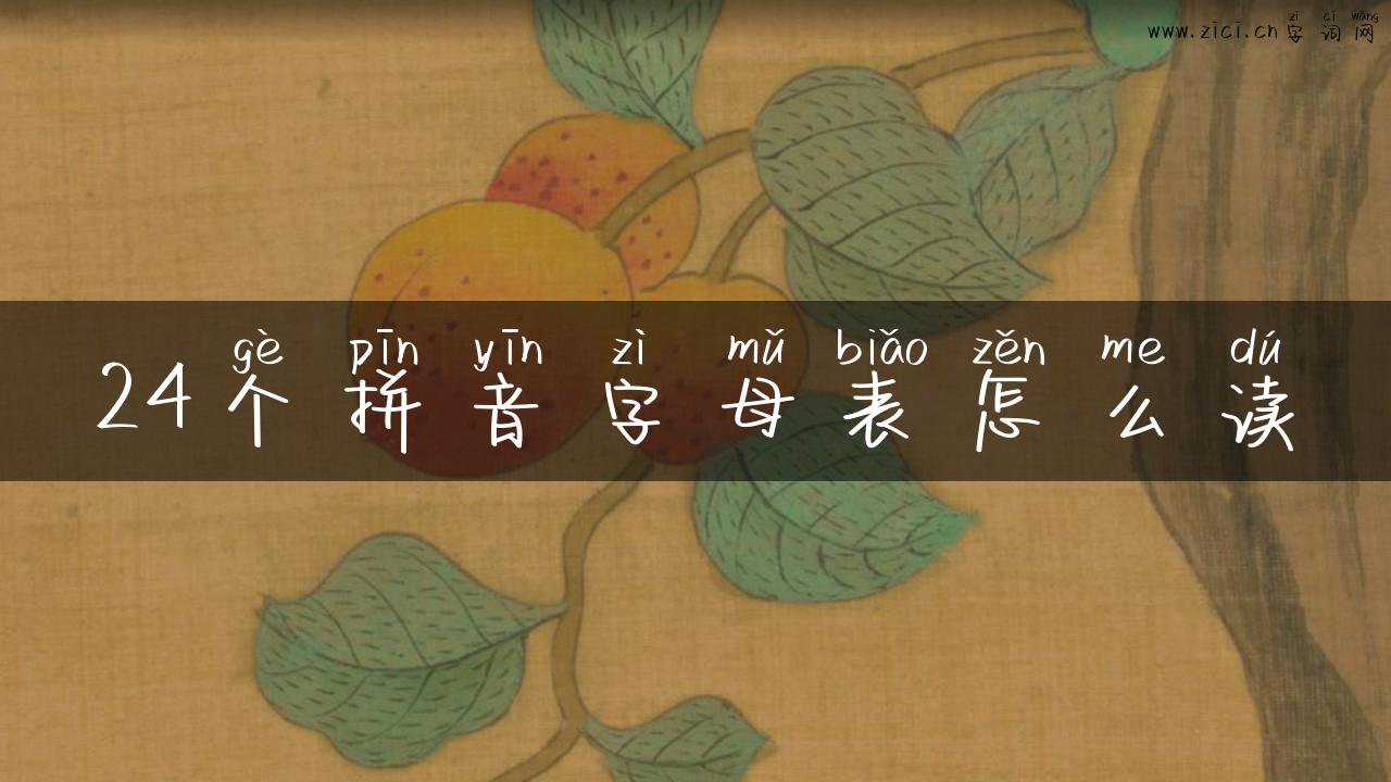 24个拼音字母表怎么读