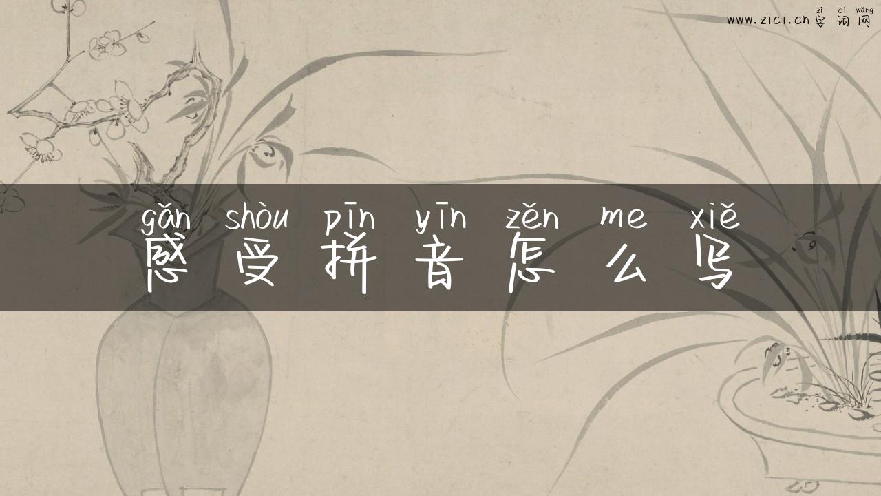 感受拼音怎么写