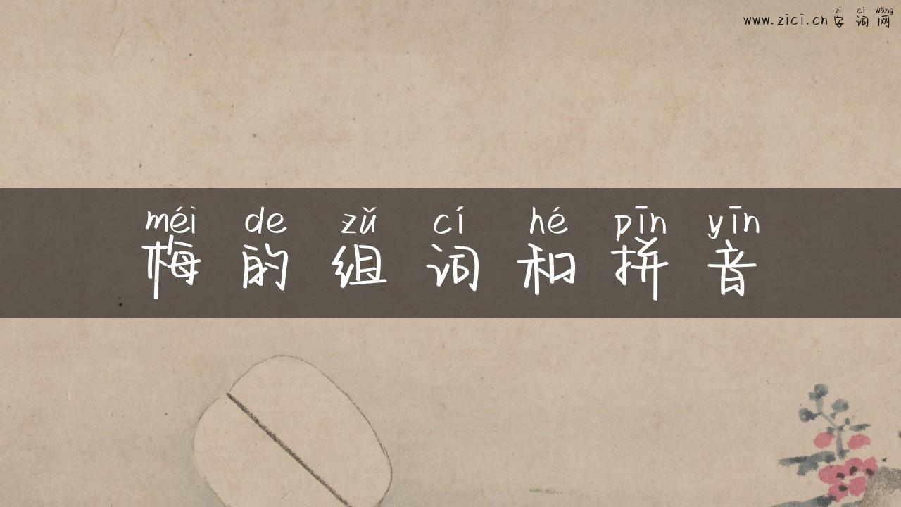 梅的组词和拼音