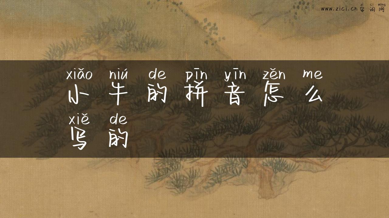 小牛的拼音怎么写的