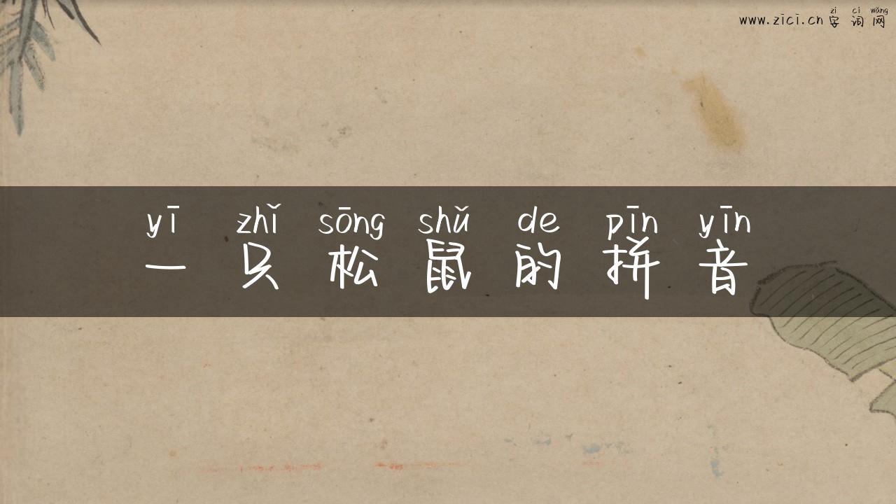 一只松鼠的拼音
