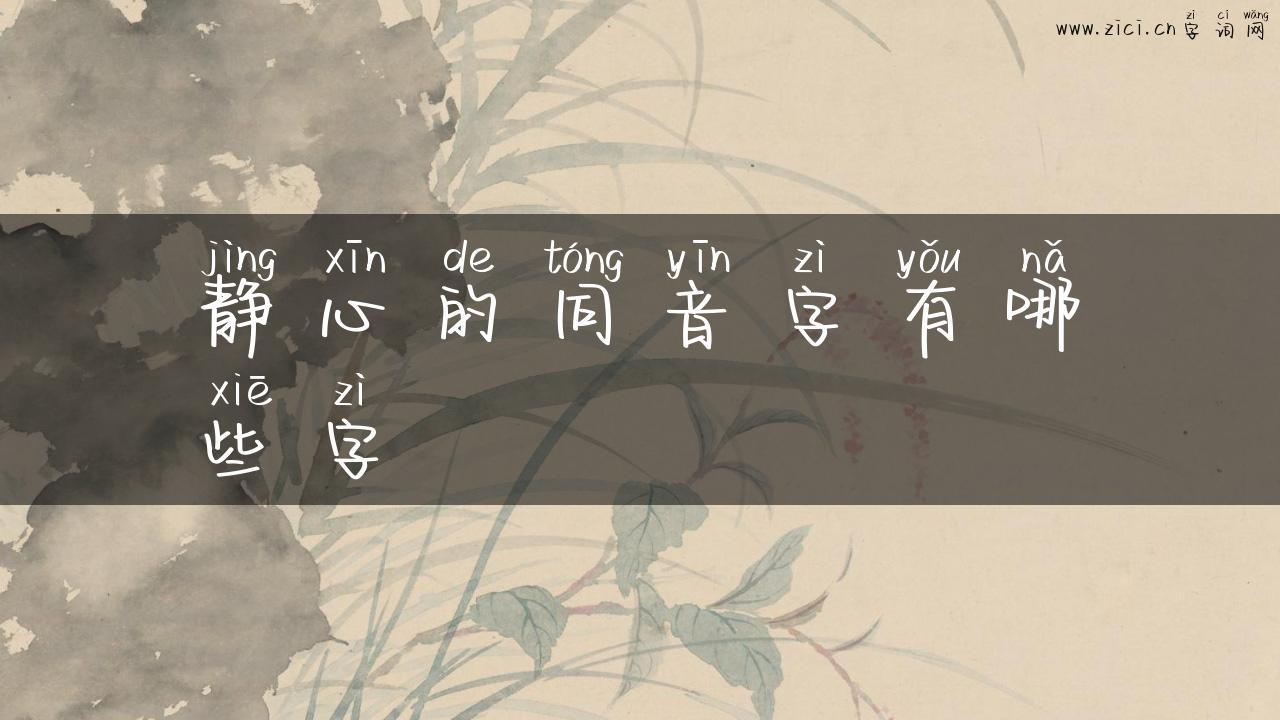 静心的同音字有哪些字