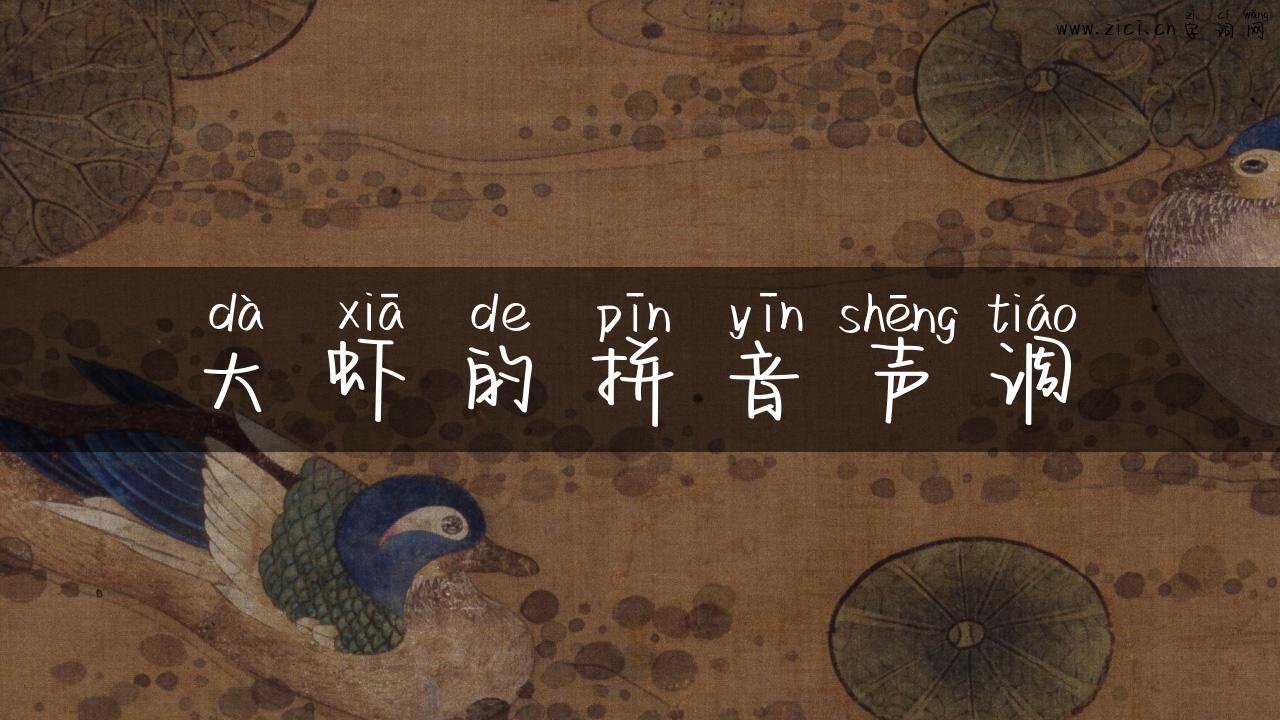 大虾的拼音声调