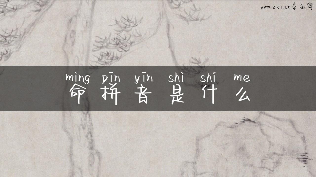 命拼音是什么