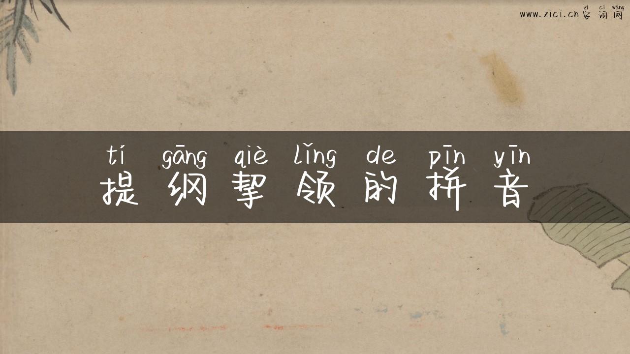 提纲挈领的拼音
