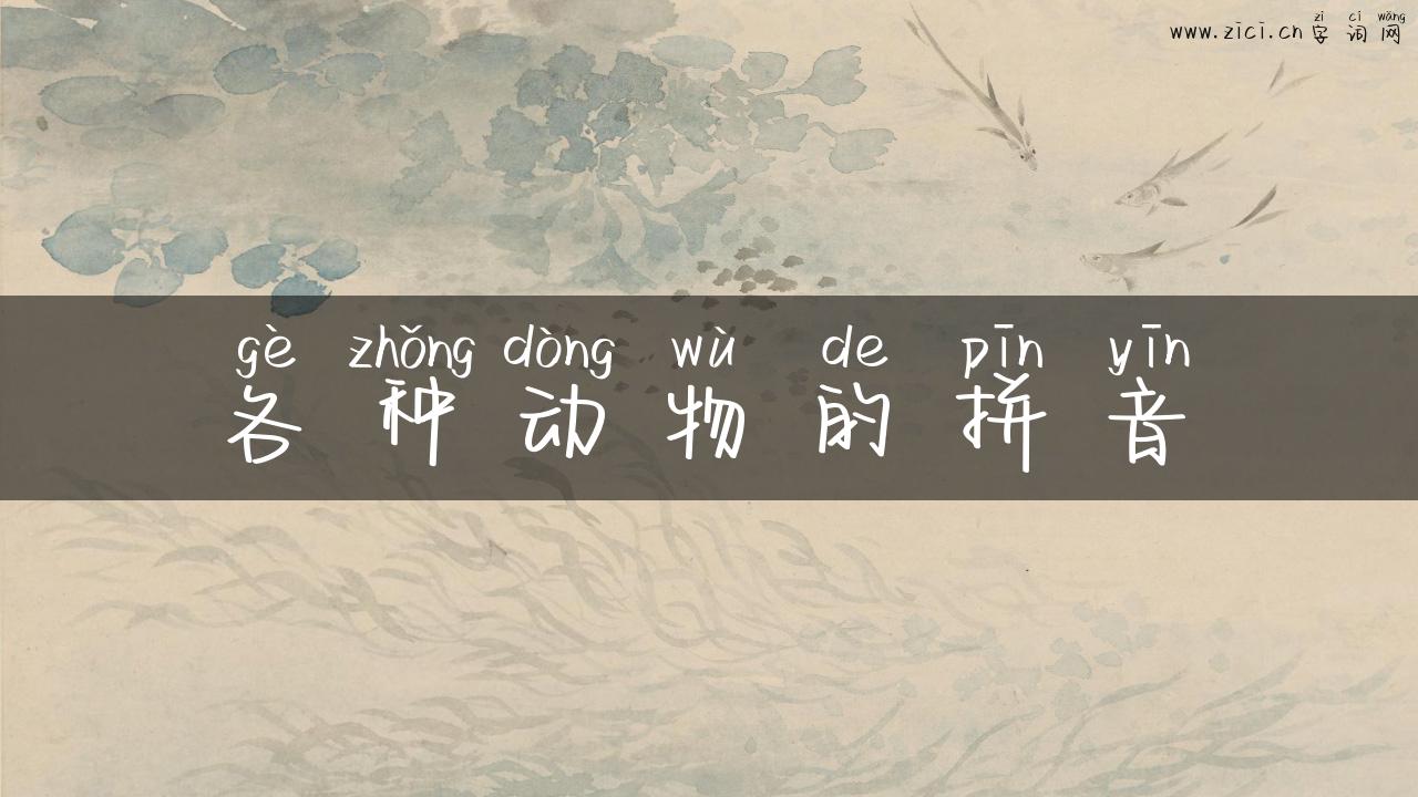 各种动物的拼音
