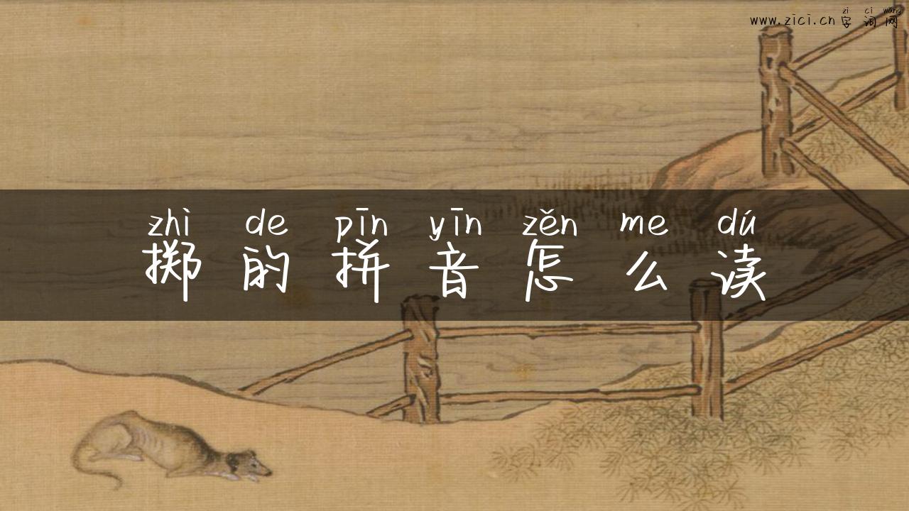 掷的拼音怎么读