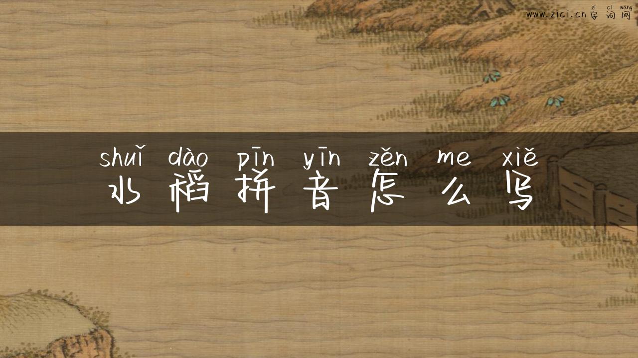 水稻拼音怎么写