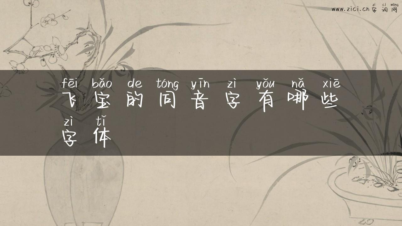 飞宝的同音字有哪些字体