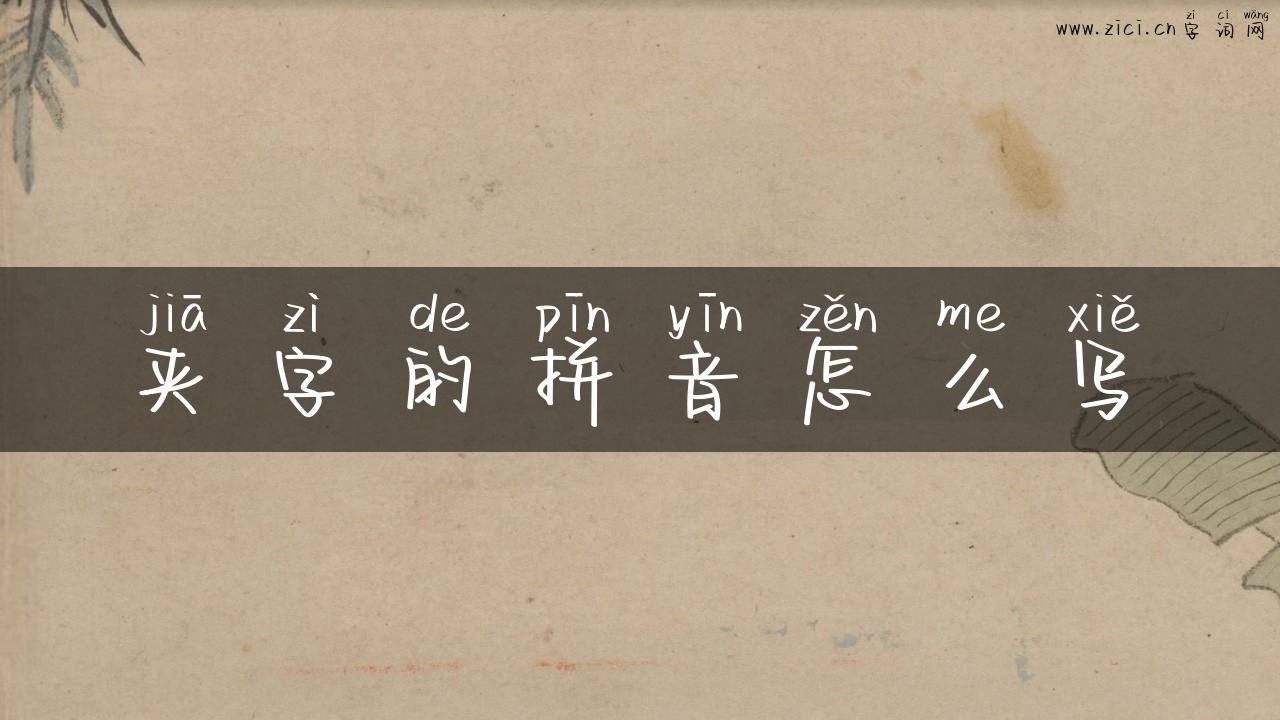 夹字的拼音怎么写