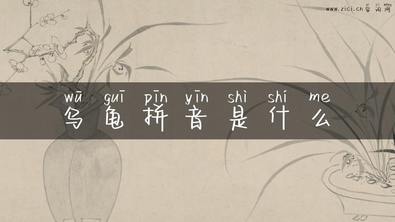 乌龟拼音是什么