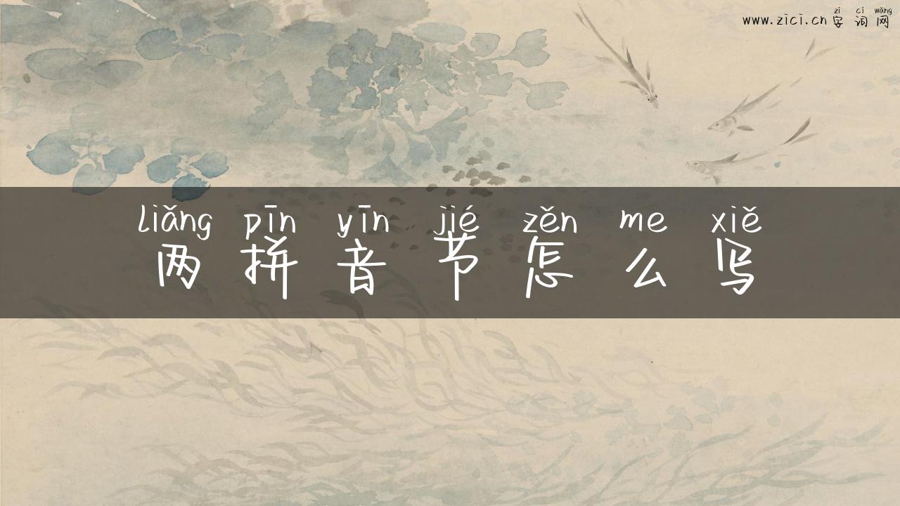 两拼音节怎么写
