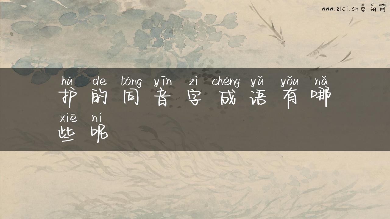 护的同音字成语有哪些呢