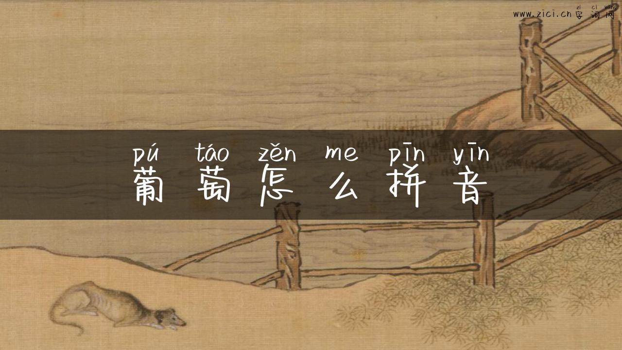 葡萄怎么拼音
