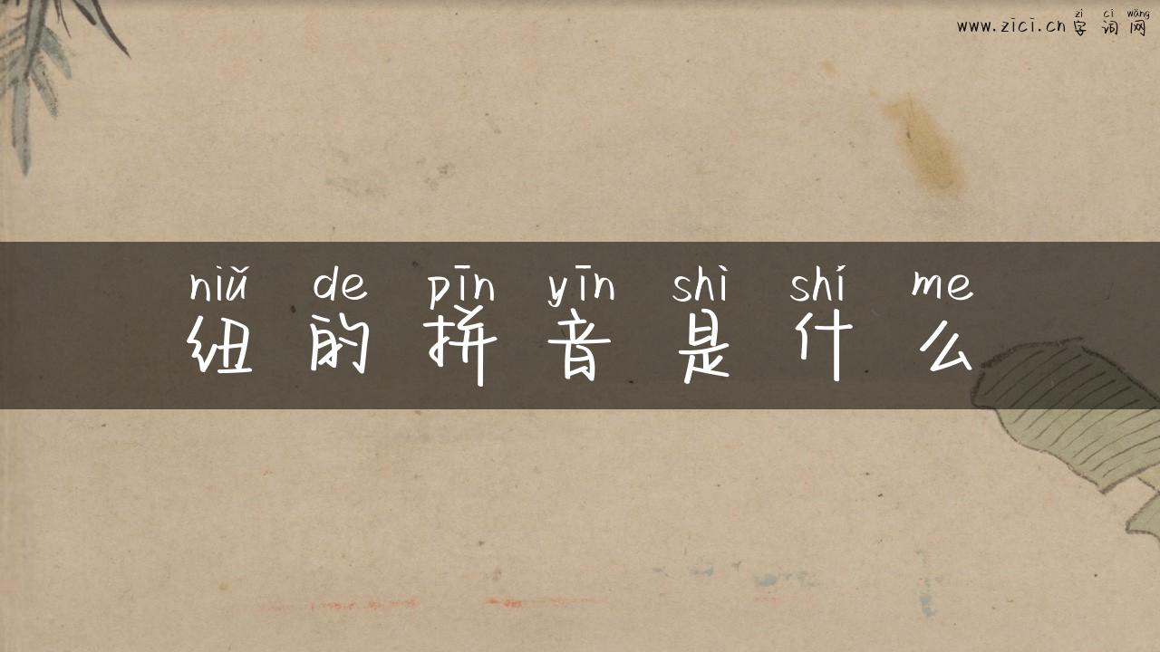 纽的拼音是什么