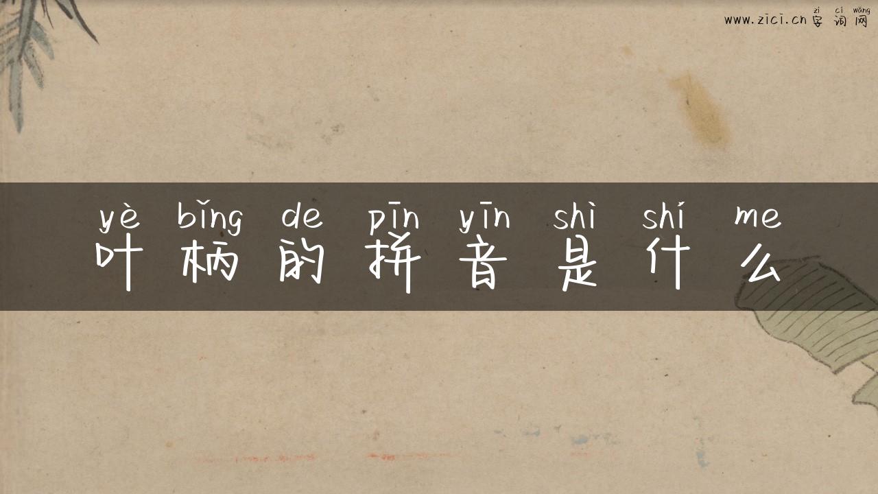 叶柄的拼音是什么