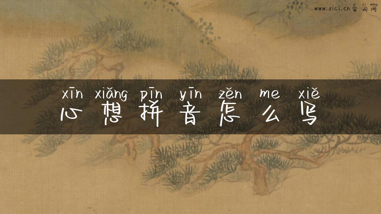 心想拼音怎么写