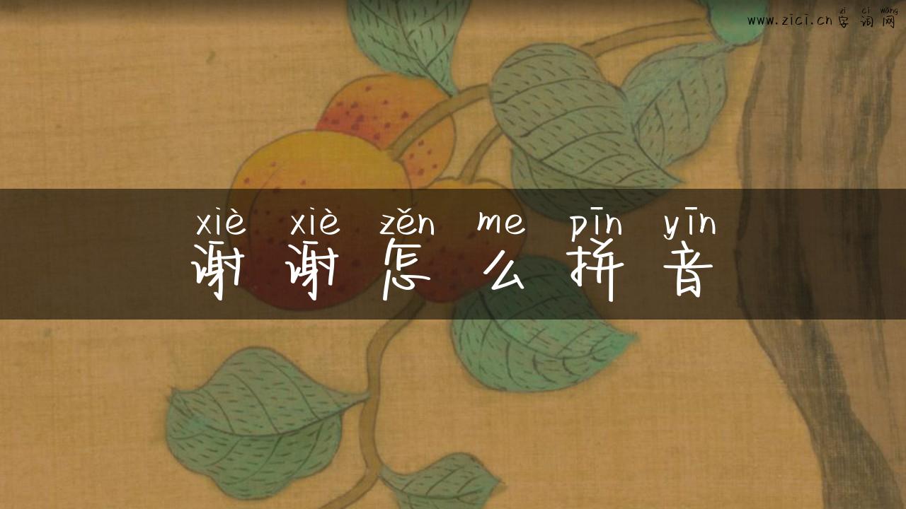谢谢怎么拼音