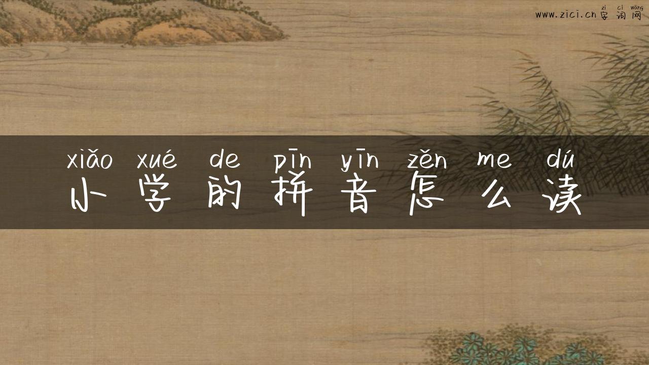 小学的拼音怎么读