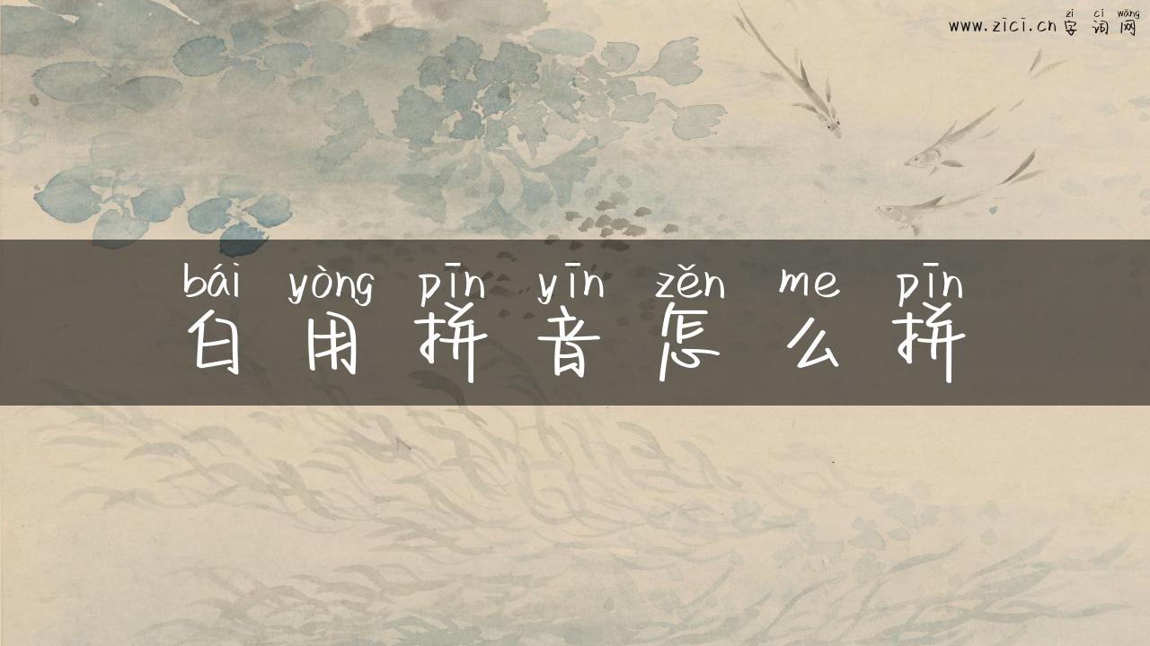 白用拼音怎么拼