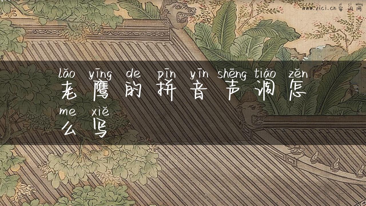 老鹰的拼音声调怎么写
