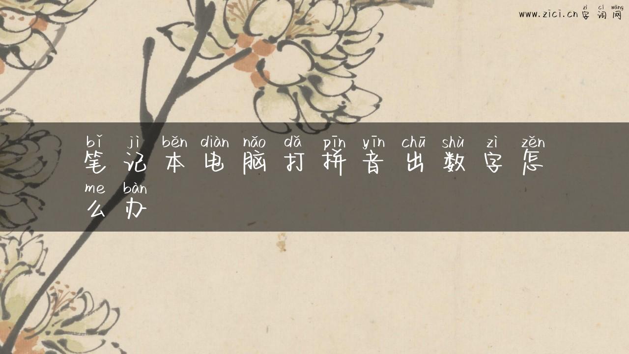 笔记本电脑打拼音出数字怎么办