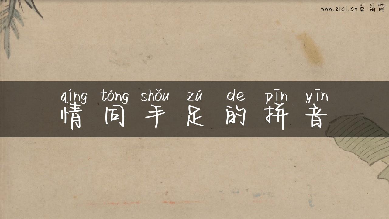 情同手足的拼音