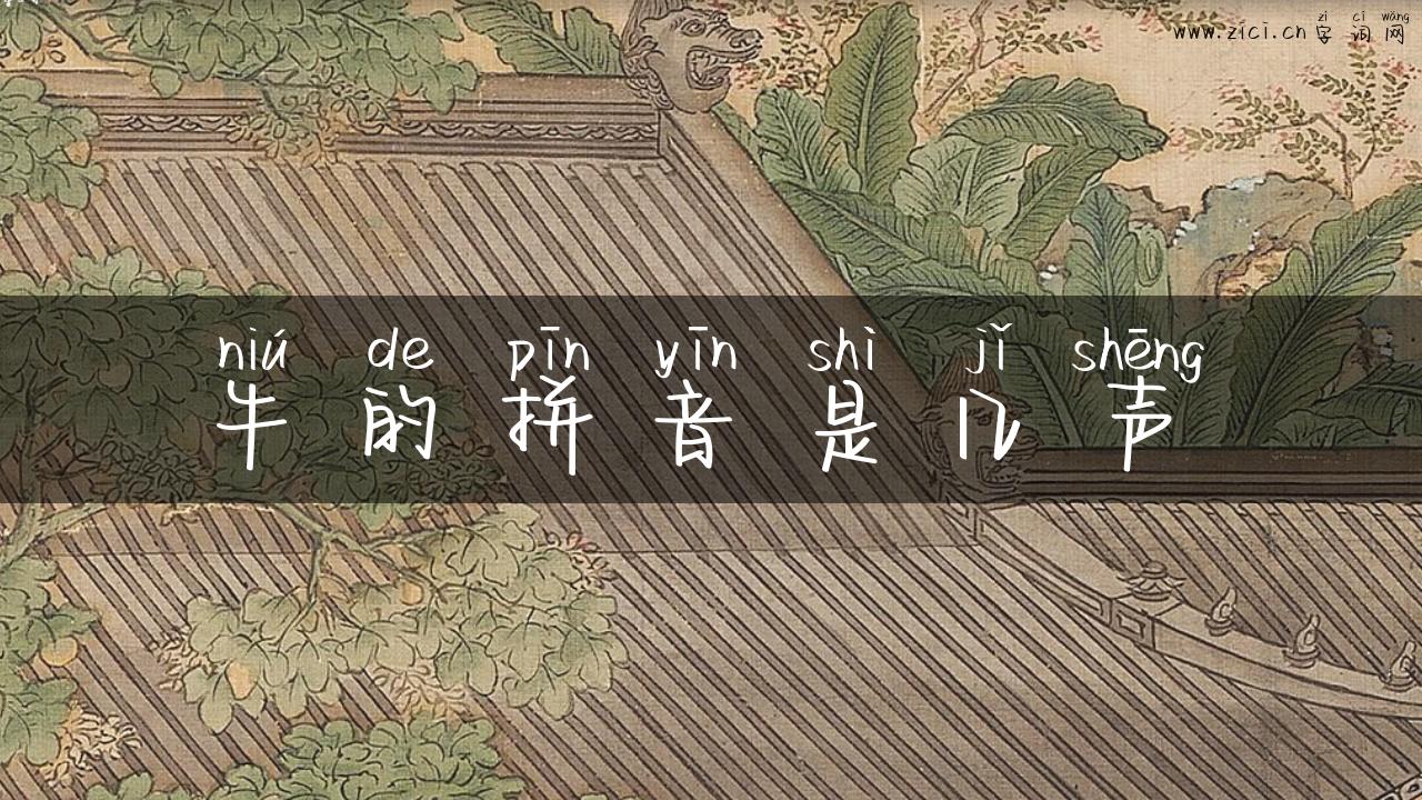牛的拼音是几声