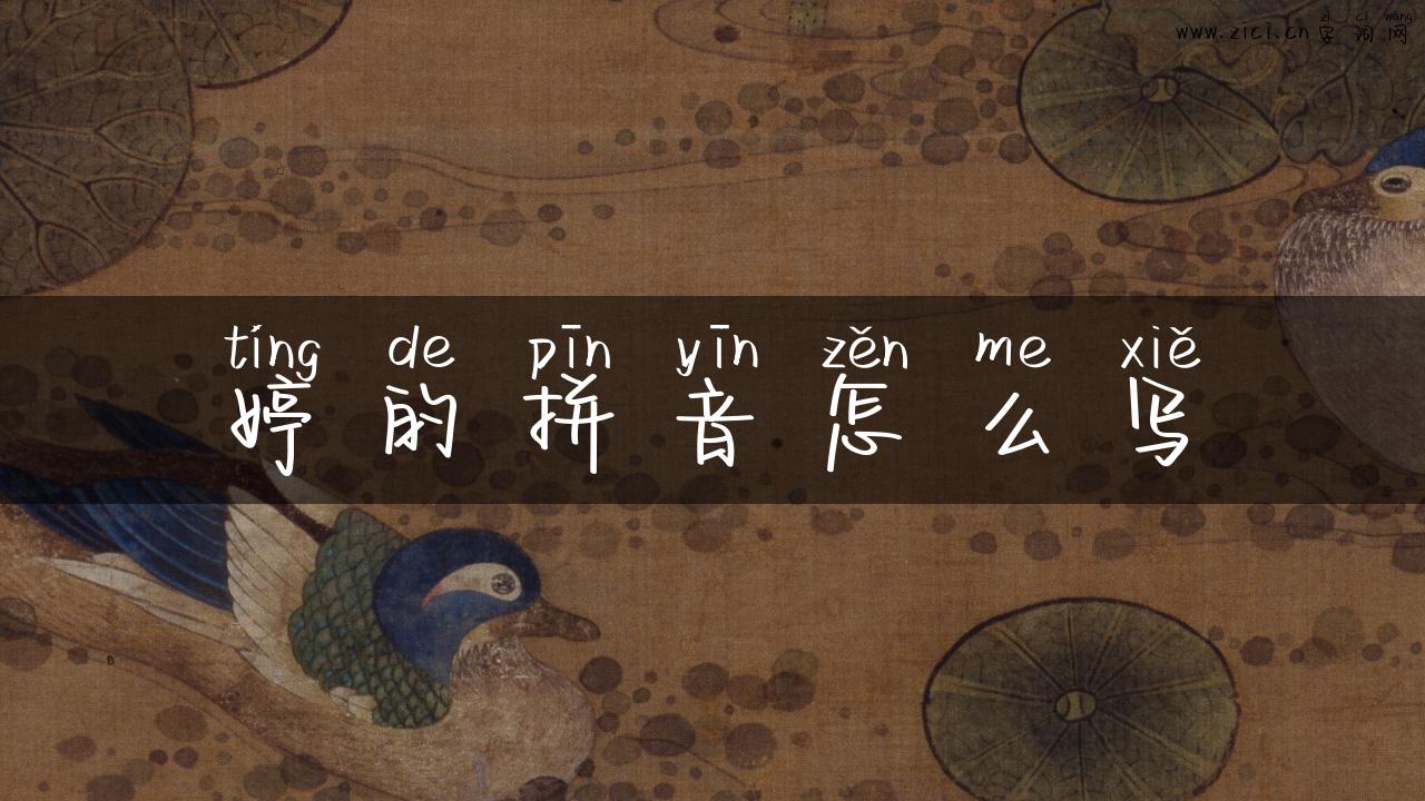 婷的拼音怎么写