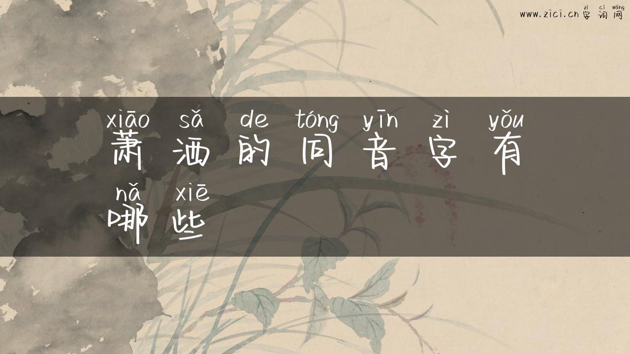 萧洒的同音字有哪些