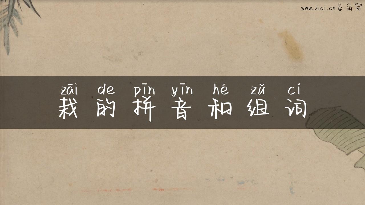 栽的拼音和组词