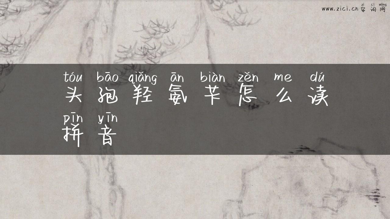 头孢羟氨苄怎么读拼音