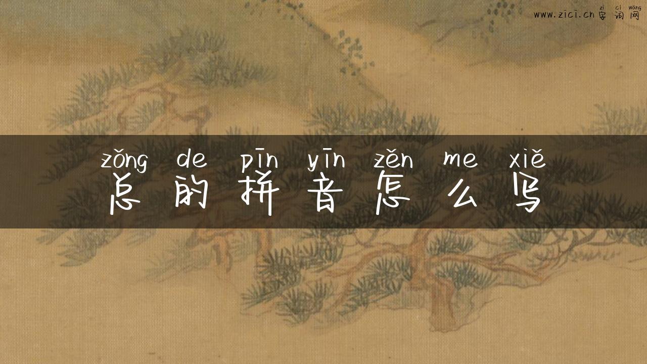 总的拼音怎么写