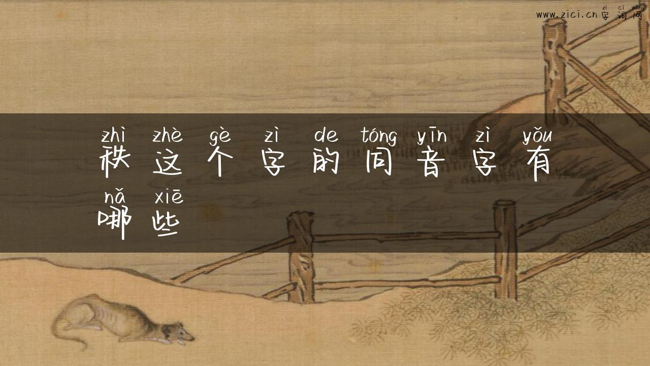 秩这个字的同音字有哪些