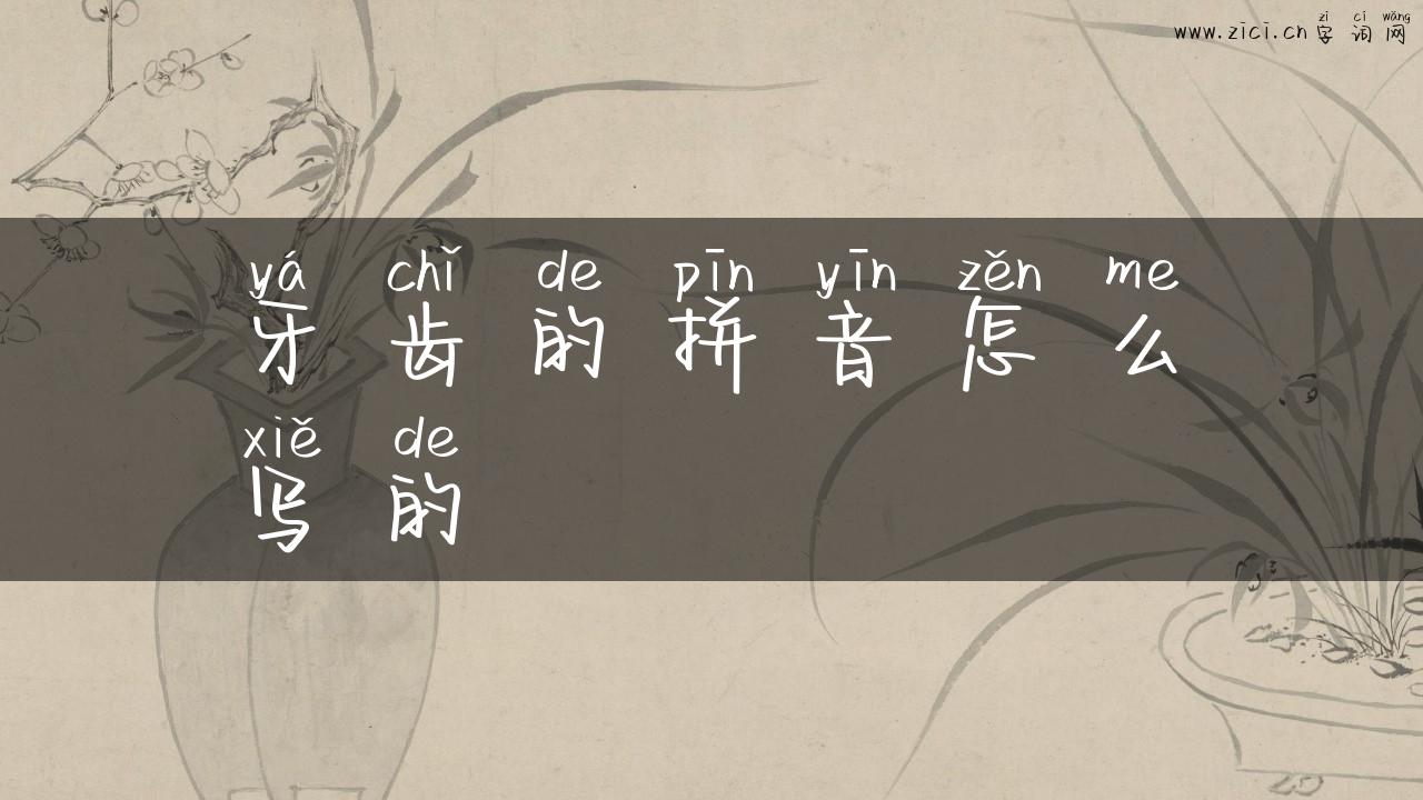 牙齿的拼音怎么写的