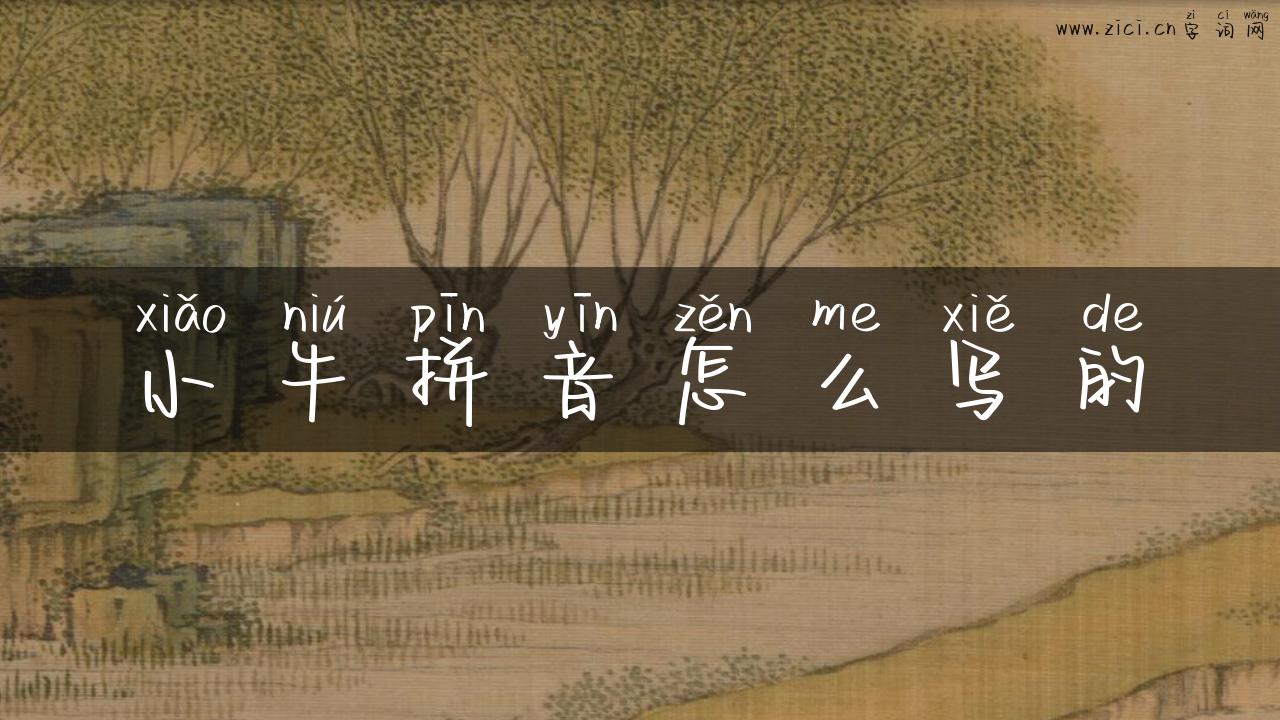 小牛拼音怎么写的