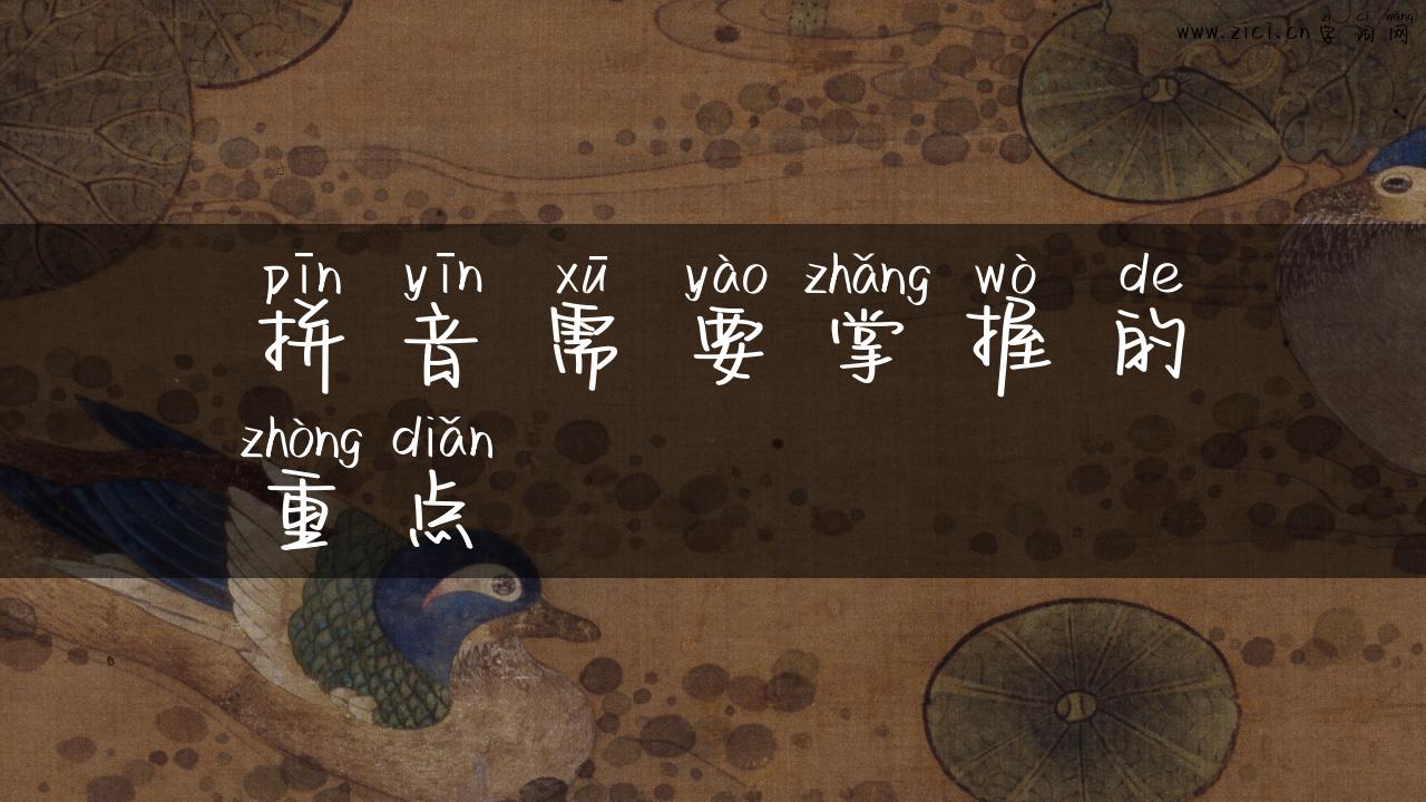 拼音需要掌握的重点