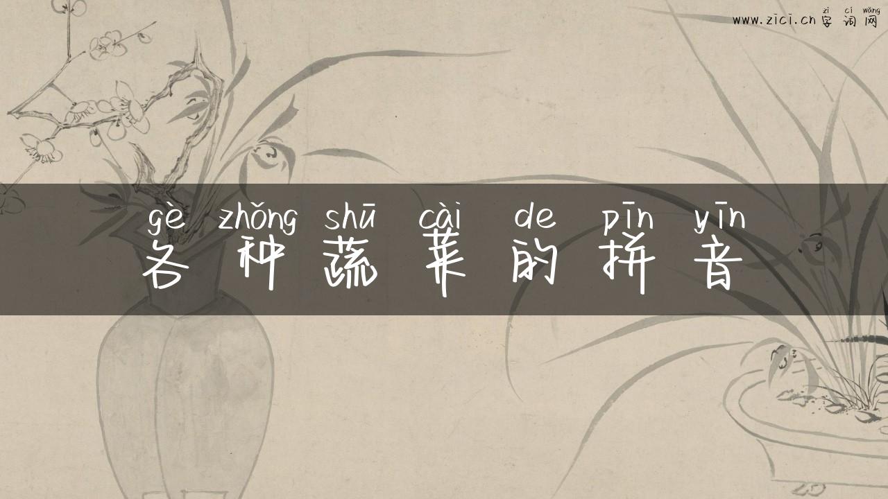 各种蔬菜的拼音