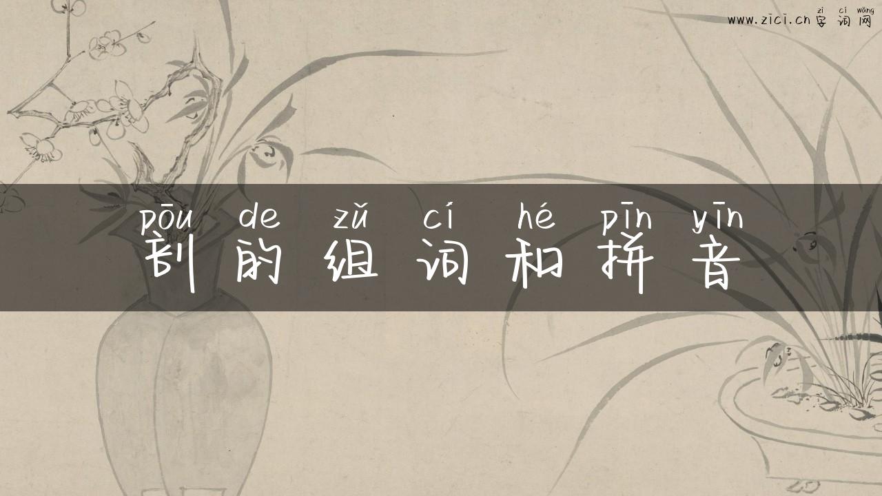 剖的组词和拼音