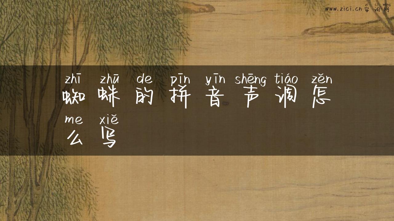 蜘蛛的拼音声调怎么写