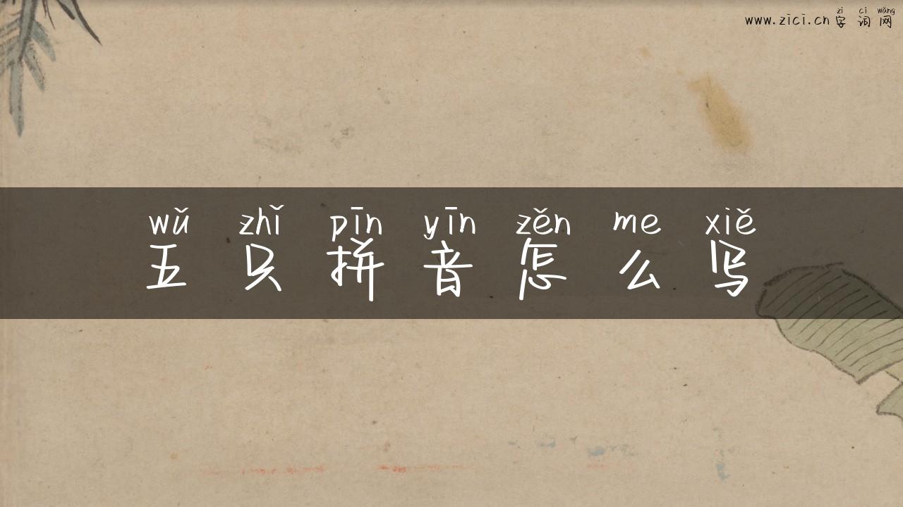 五只拼音怎么写