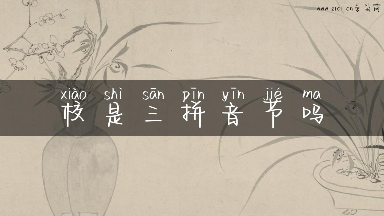 校是三拼音节吗