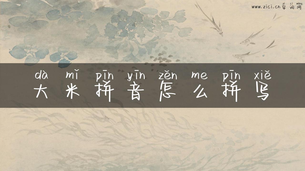 大米拼音怎么拼写
