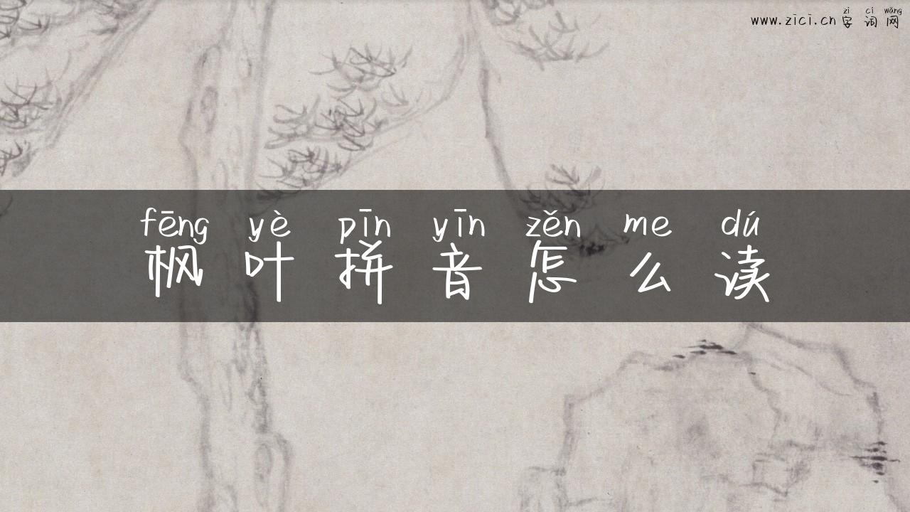 枫叶拼音怎么读