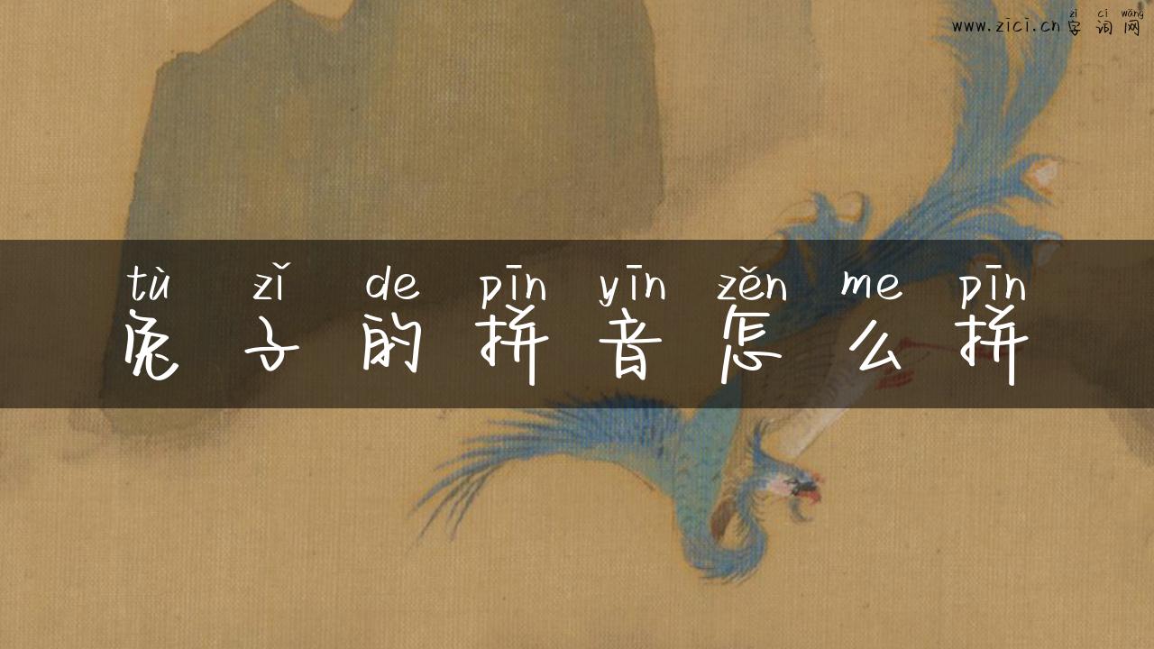 兔子的拼音怎么拼
