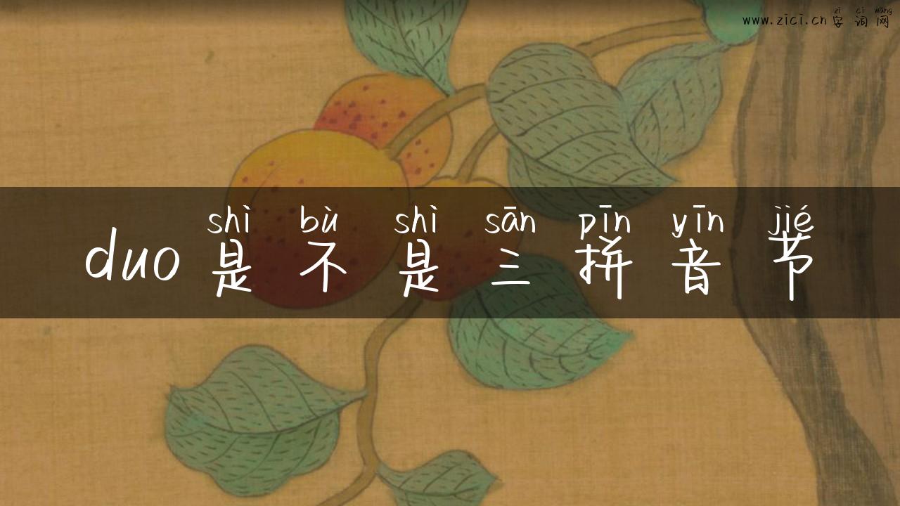 duo是不是三拼音节